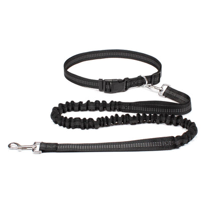 Hand Free Dog Leash