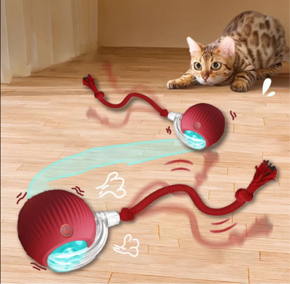 Purrfect PlayBall