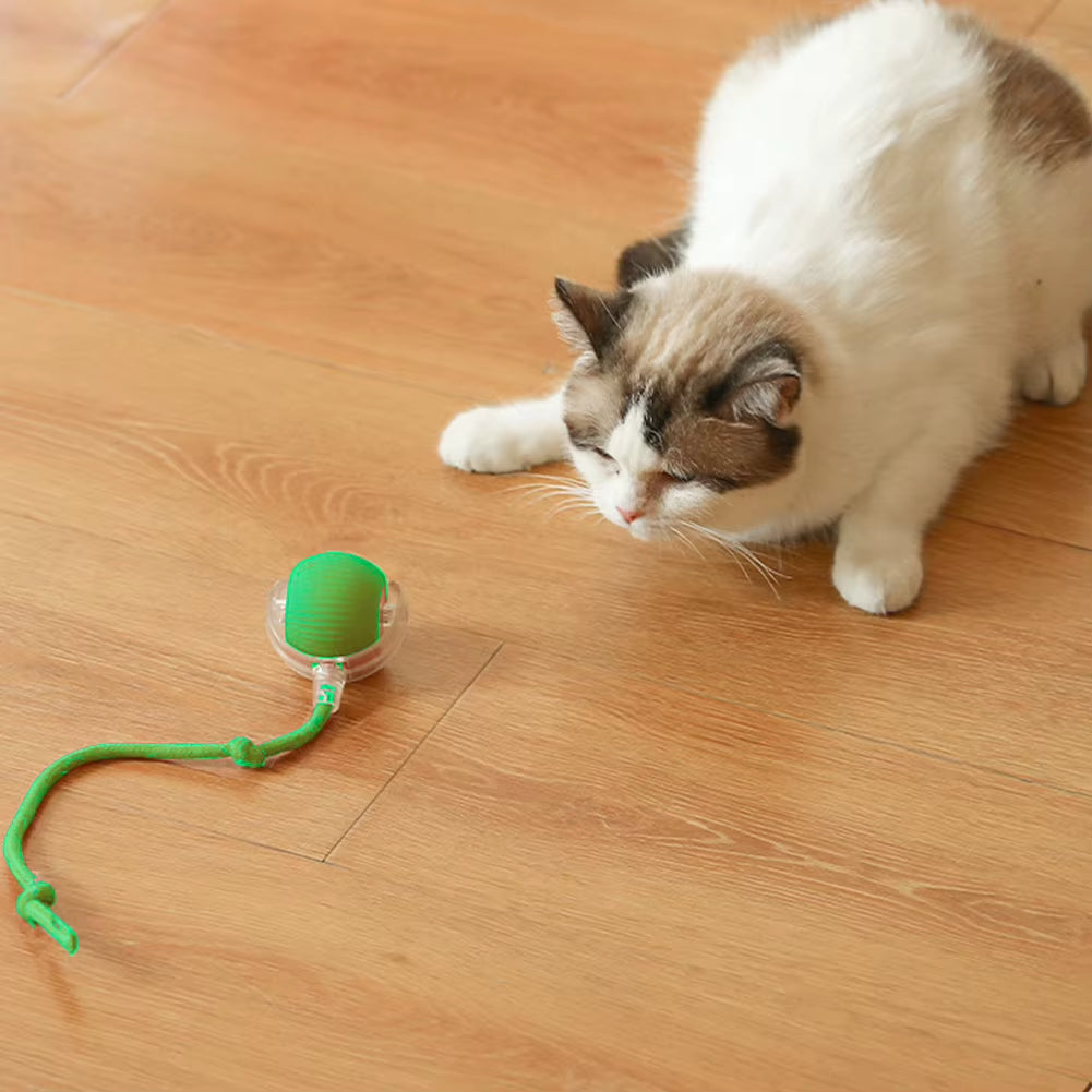 1PCS Cat Interactive Ball Toys Electric Automatic Rolling Ball Toys Rechargeable Self Rotating Ball Anti-Depression Pet Toy 2024