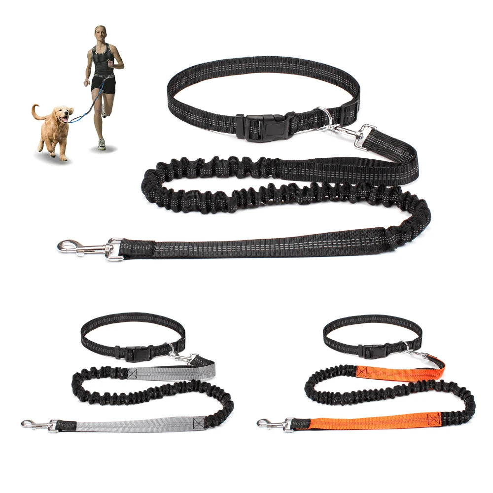 Hand Free Dog Leash