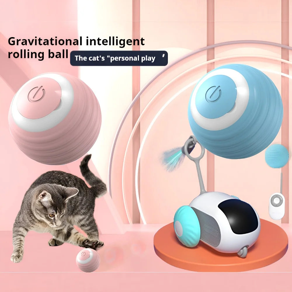 Cat Interactive Ball