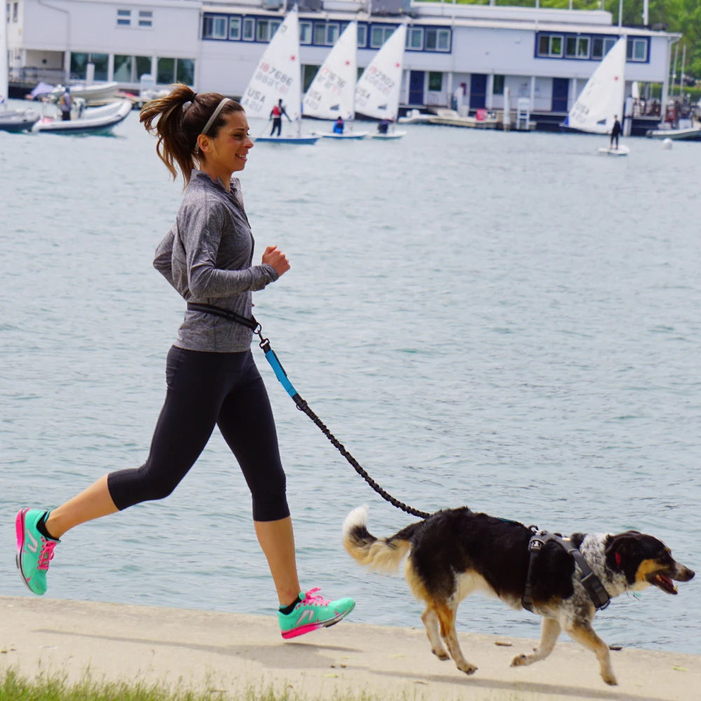 Hand Free Dog Leash