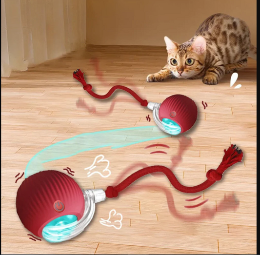 Purrfect PlayBall